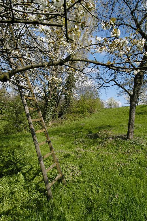Hotel Restaurant Op De Beek Schin op Geul Zewnętrze zdjęcie